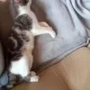 grobelny.mlelinda