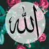 user7904172263172