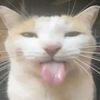 bleeehwwww