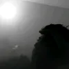 tamarmajed7