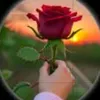 king_282raj