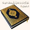 aseelmrpub8