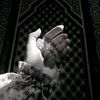had.jer5998