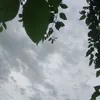 khoi.minh3824