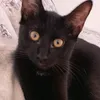 sabrina.benedettu