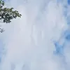 charliemae44