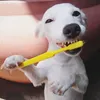 nbdywnk
