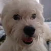 crammytsb