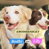 bodhiandlily