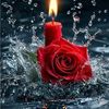 www.tiktok.commentmervat