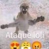 chikoshoikomimortadela