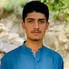 shafiullah1118