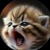 shirley.qaz