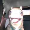 jabootycheeks4