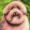 rumpkissbumpkiss