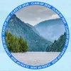 dungtruong2461