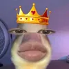 mimi