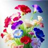 gurjeet.singh5323