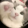 tambietmoinguoi_0