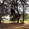 laprivde_dani