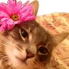 lilnnyuu
