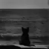 kaii_269