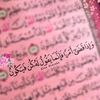 ali1905059