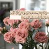 marwa34946