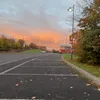 yz_8591