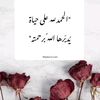 ahlamali8384