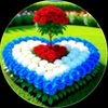 akhtarzeeb05