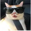 mikoleon4