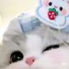 .bo_hn25.06