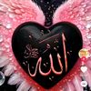 user87525362337514