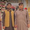 moize.ali38