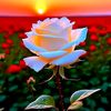 mojahid10.islam