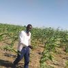 user4613729007179