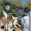 .chgf.hggf