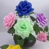 sanhanadnan3