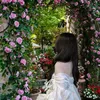 inbox mọi thứ