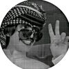 user5083561146088