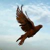 123456mahmoud12345