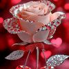 forida.yeasmin611