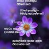 supunkumara991