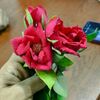 nb_nazmul_islam_1