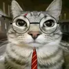 brunow2_