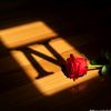 nnoush114