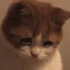 prayfor_gudending_v