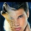 starfoxxz