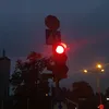 www.olavixij.pl